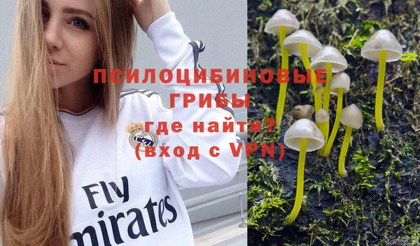 СК Волоколамск