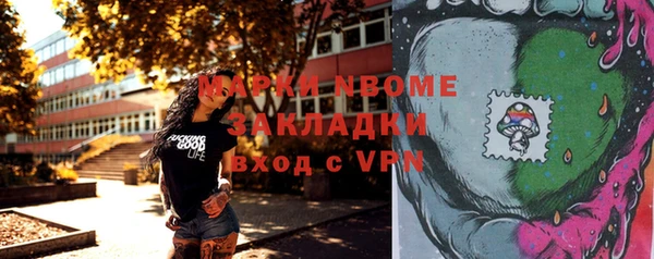 СК Волоколамск